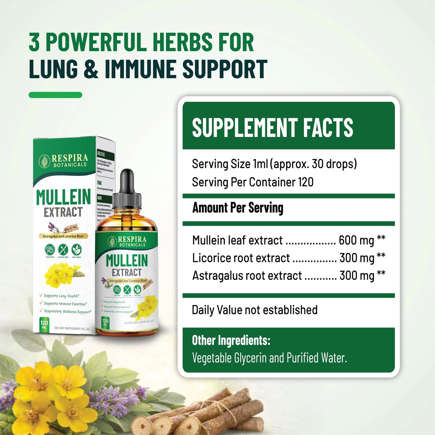 Mullein Extract for Lung Health & Respiratory Support, with Astragalus and Licorice Root, Alcohol-Free Liquid Drops, Sugar-Free, Vegan, 4 fl oz Respira Botanicals