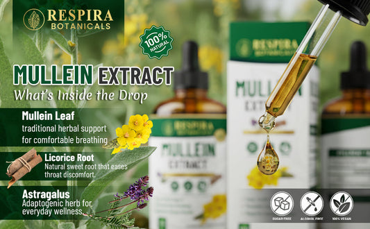 What is Mullein Leaf? A Gentle Guide to Nature’s Soothing Herb
