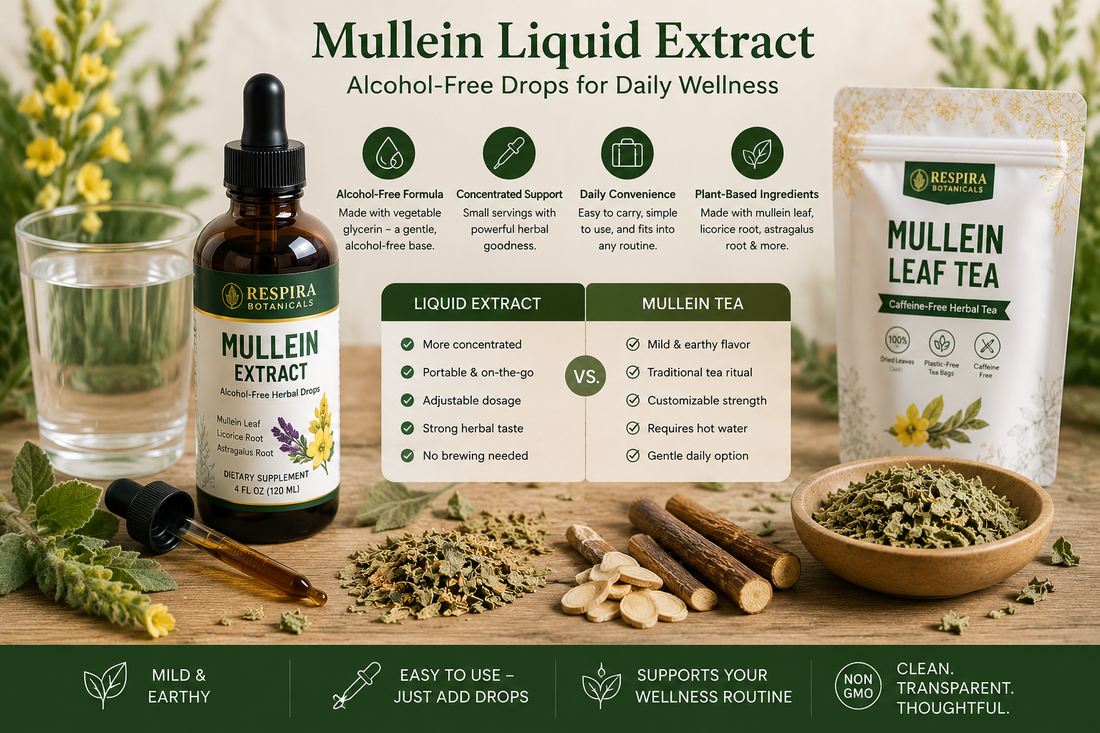 Alcohol-free mullein liquid extract in a dropper bottle with herbal ingredients.