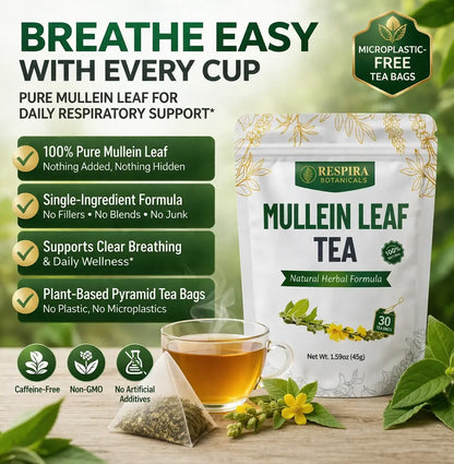 Mullein Leaf Tea Respira Botanicals