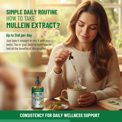Mullein Extract for Lung Health & Respiratory Support, with Astragalus and Licorice Root, Alcohol-Free Liquid Drops, Sugar-Free, Vegan, 4 fl oz Respira Botanicals