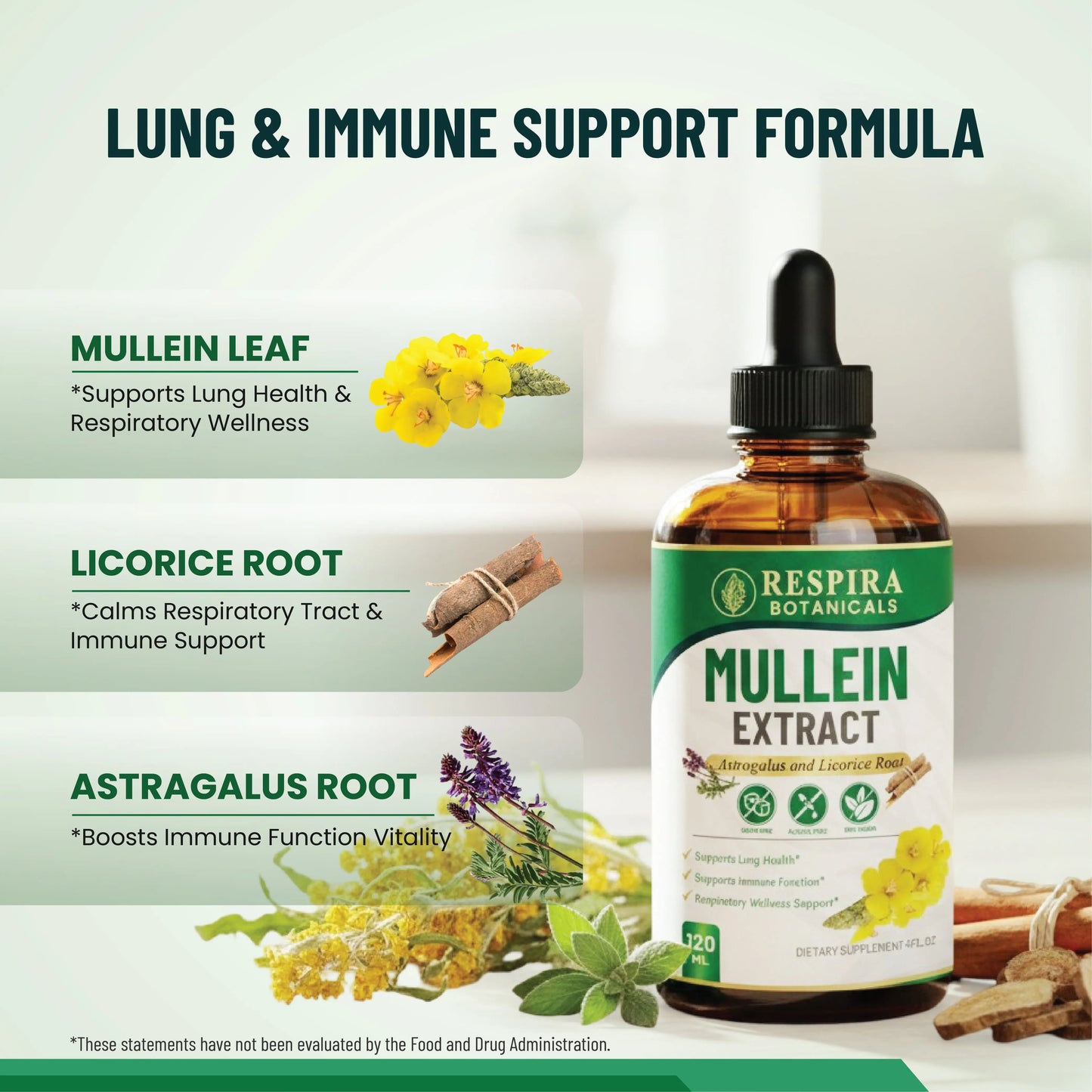 Mullein Extract for Lung Health & Respiratory Support, with Astragalus and Licorice Root, Alcohol-Free Liquid Drops, Sugar-Free, Vegan, 4 fl oz Respira Botanicals