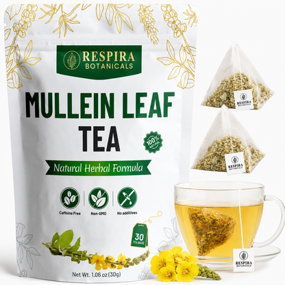 Mullein Leaf Tea Bags - Lungs Cleanse & Respiratory Support| Plastic-Free, Plant-Based Tea Bags, String and Tag, 30 pack Respira Botanicals