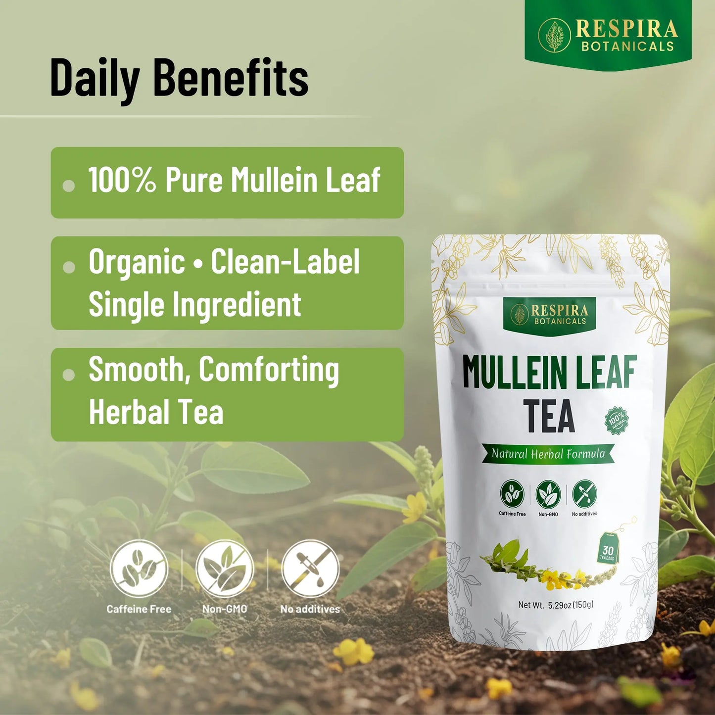 Mullein Leaf Tea Respira Botanicals