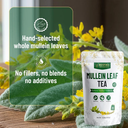 Mullein Leaf Tea for Clear Breathing & Daily Lung Support Respira Botanicals