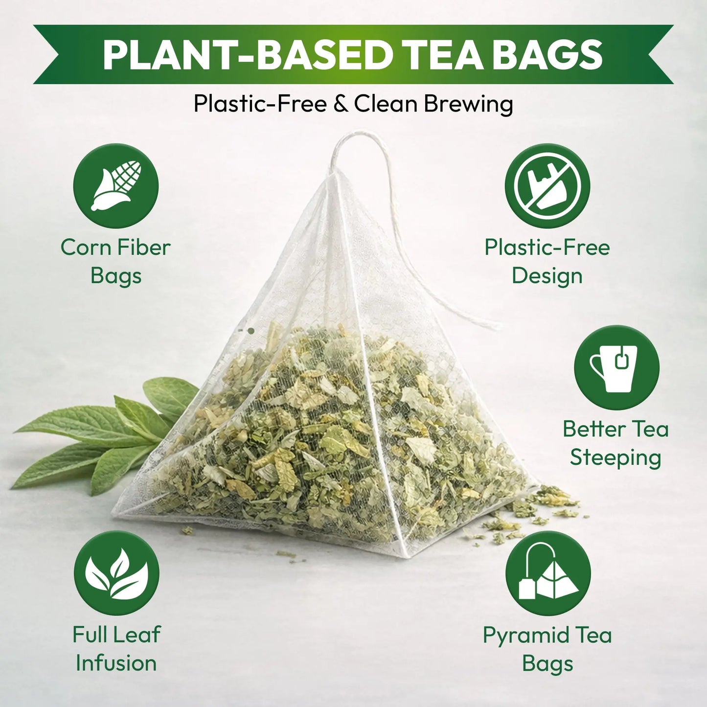 Mullein Leaf Tea – Herbal Tea for Daily Wellness Respira Botanicals